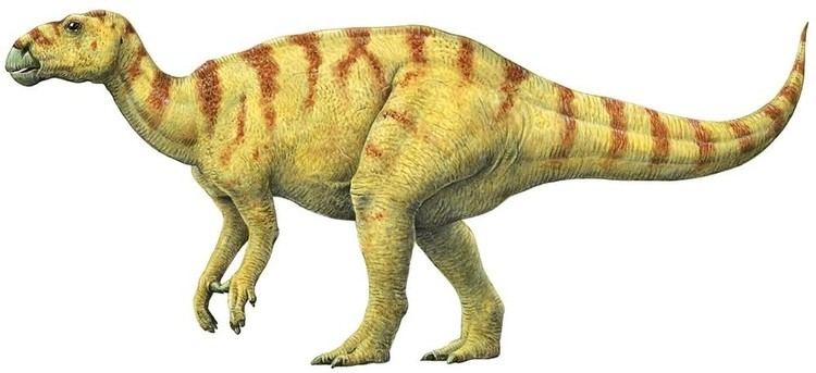 Iguanodon Iguanodon Qfiles Encyclopedia
