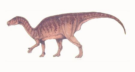 Iguanodon Iguanodonfleshedjpg