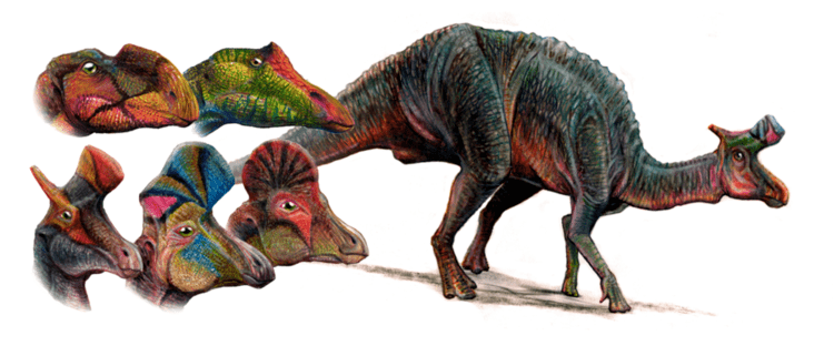 Iguanodontia Iguanodontia by PavelRiha on DeviantArt