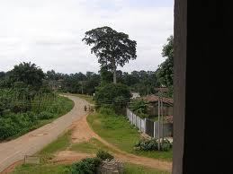 Ikeduru wwwimostateblogcomwpcontentuploads201206vi