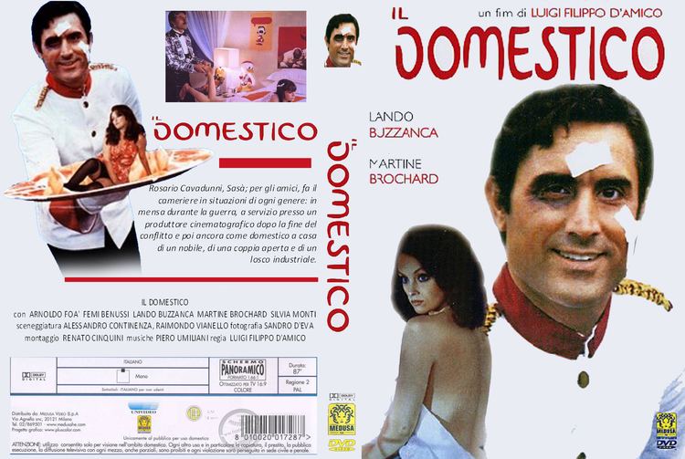 Il domestico Copertina dvd Il domestico cover dvd Il domestico CopertineDVDorg