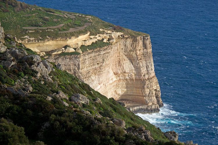 Il-Kullana to tal-Ġifen Cliffs Important Bird Area