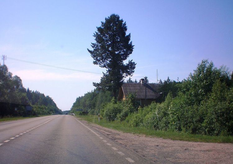Ilgininkai