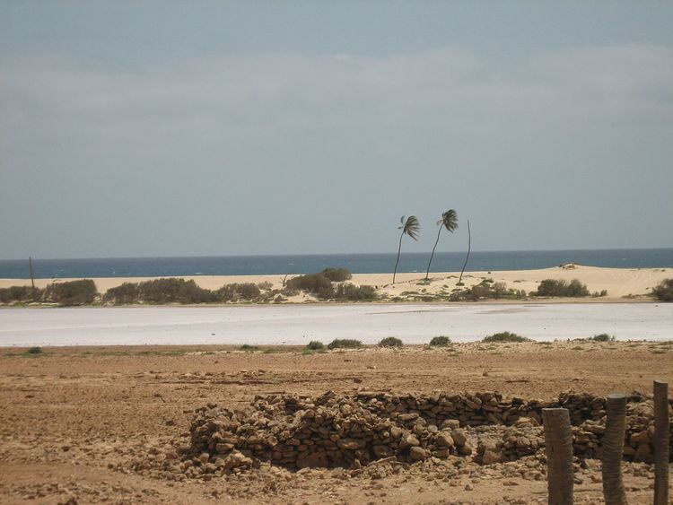 Ilhéu de Curral Velho and adjacent coast Important Bird Area