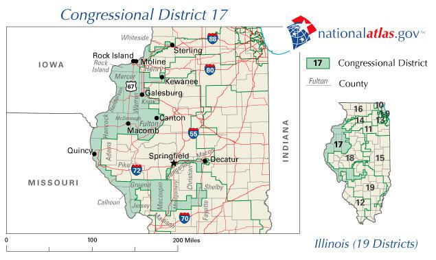 Illinois's 17th congressional district election, 2010
