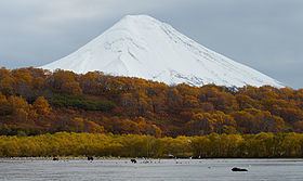 Ilyinsky (volcano) httpsuploadwikimediaorgwikipediacommonsthu