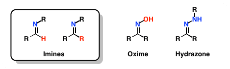 Imine Introduction to Imines and Enamines in Organic Chemistry Master