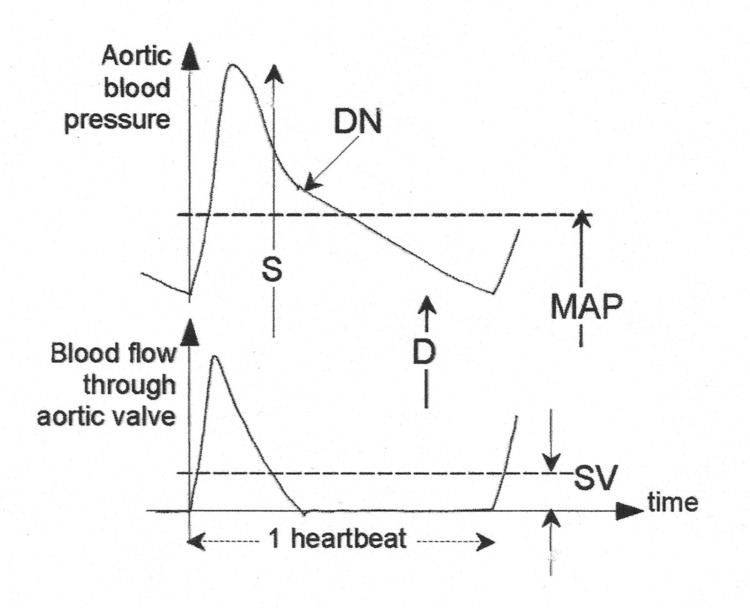 Impedance cardiography - Alchetron, The Free Social Encyclopedia