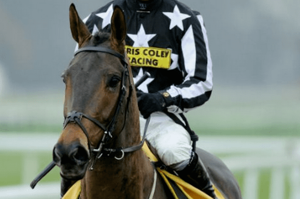 Imperial Commander (horse) Grand National Imperial Commander heads up 49strong field Daily