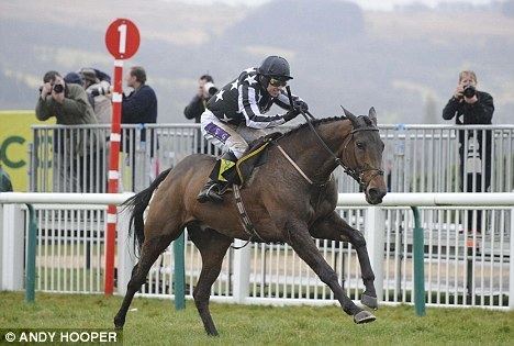 Imperial Commander (horse) CHELTENHAM 2010 Imperial Commander wins thrilling Gold Cup as