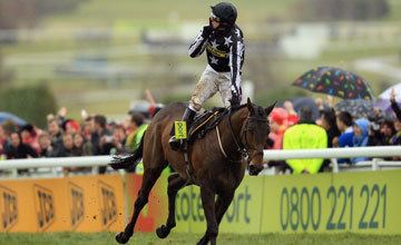 Imperial Commander (horse) Gold Cup hero Imperial Commander retired UK Bloodstock News