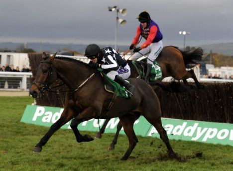 Imperial Commander (horse) Imperial Commander pips The Queen39s horse to win Paddy Power Gold