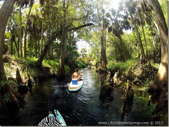 Imperial River (Florida) urealgeeksmedialifeinbonitaspringsoldwpwpc