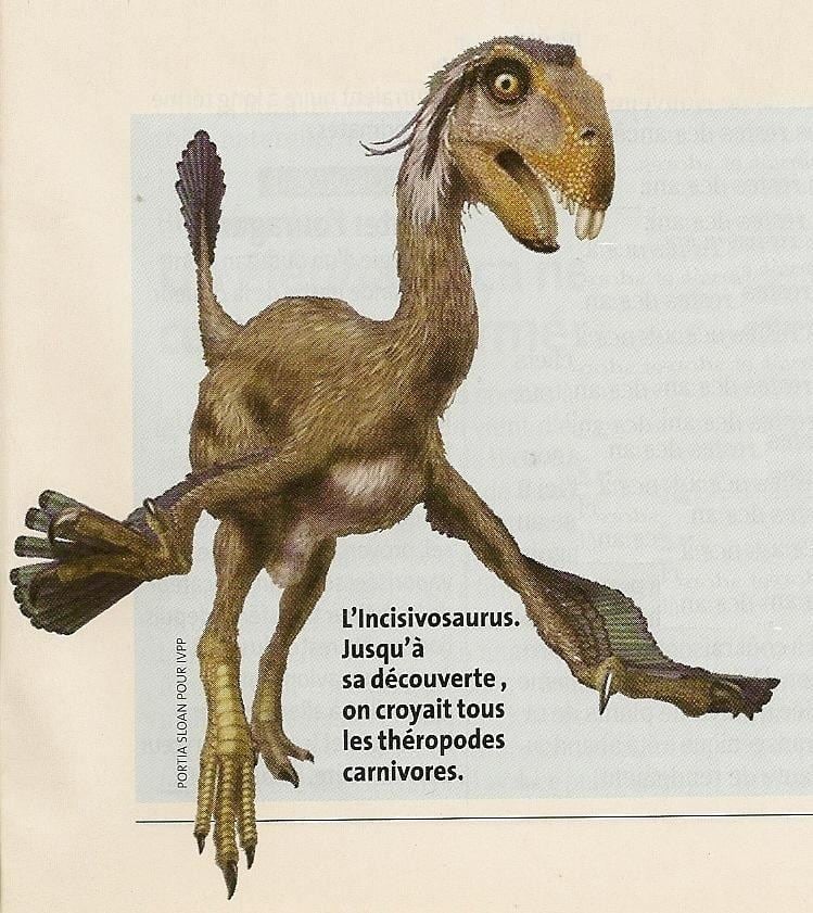 Incisivosaurus Incisivosaurus Pictures amp Facts The Dinosaur Database