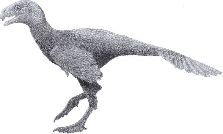 Incisivosaurus incisivosaurus on emaze