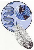 Indigenous Peoples Council on Biocolonialism httpsuploadwikimediaorgwikipediaenthumb2