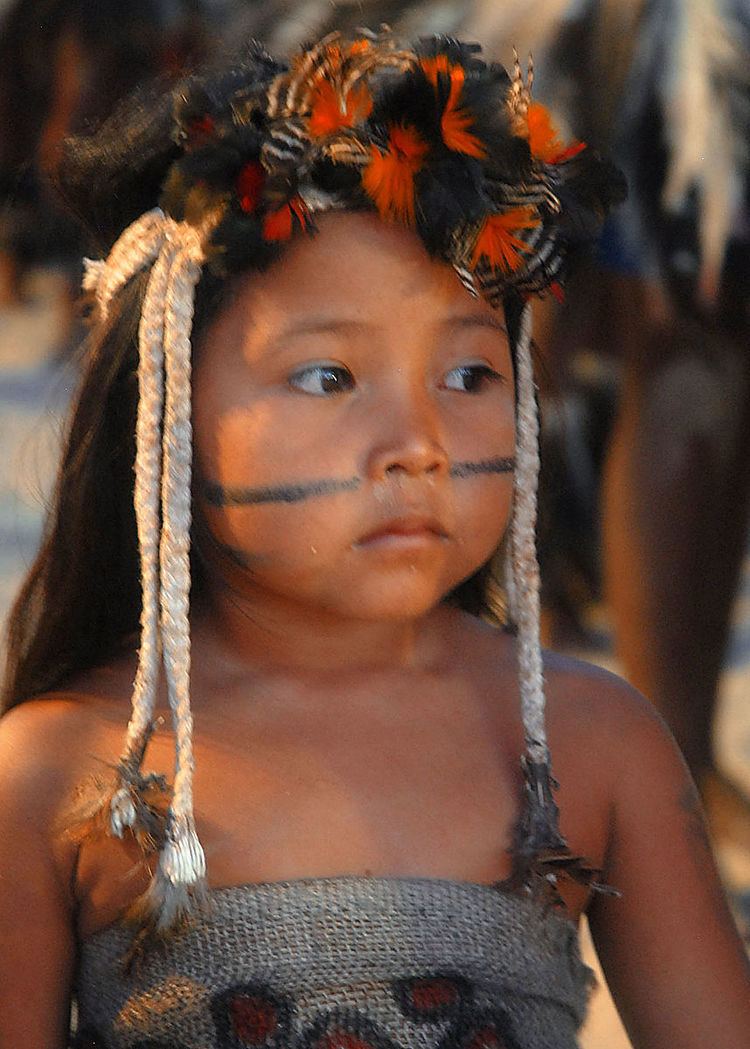 Indigenous peoples in Brazil