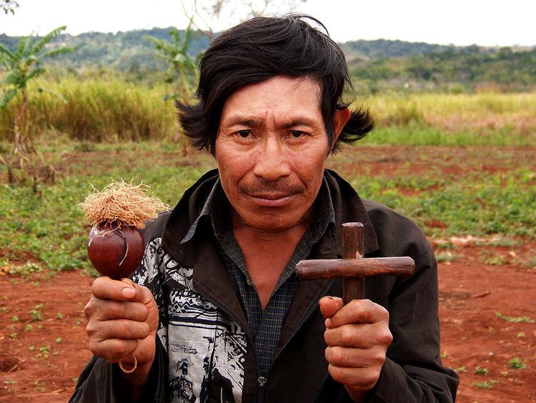 Indigenous peoples of South America