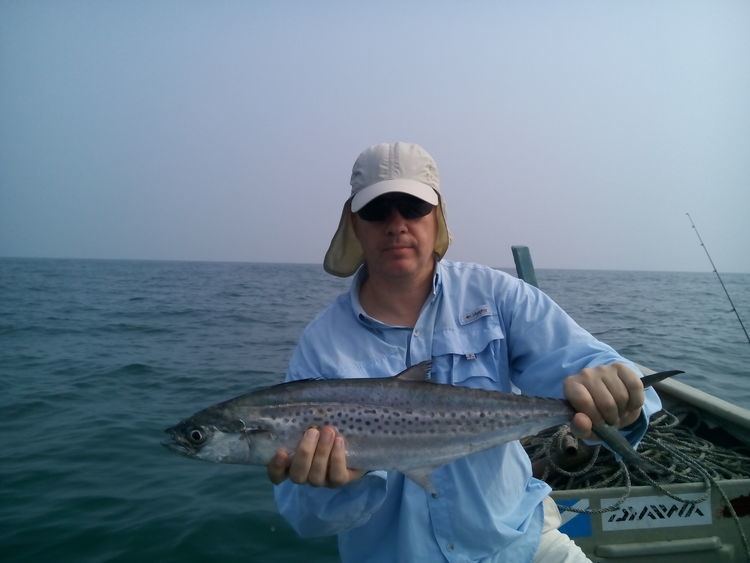 Indo-Pacific king mackerel Port Dickson 210315 Andrew Griffin Sport Fishing amp Travel Blog