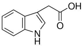 Indole-3-acetic acid 3Indoleacetic acid 98 SigmaAldrich