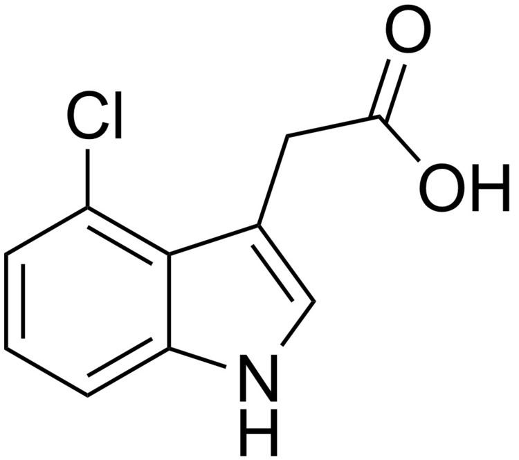 Indole-3-acetic acid 4Chloroindole3acetic acid Wikipedia