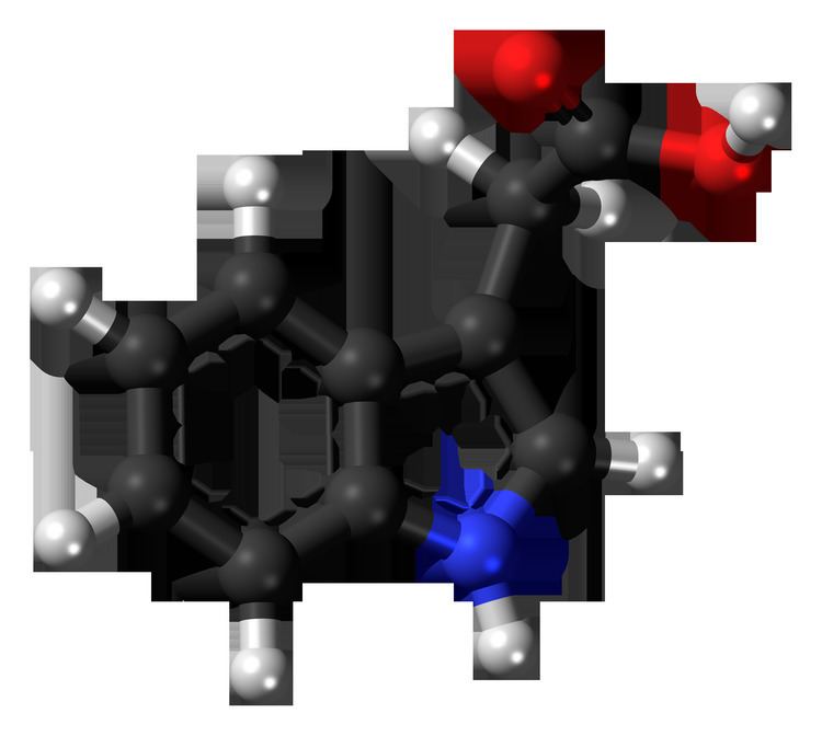Indole-3-acetic acid FileIndole3acetic acid 3D ballpng Wikimedia Commons