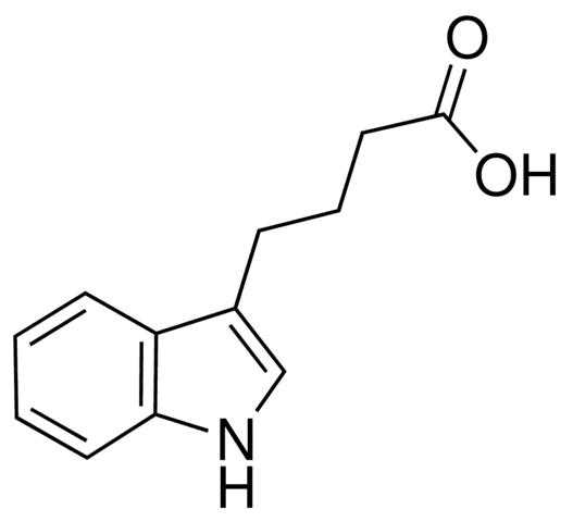 Indole-3-butyric acid httpswwwmpbiocomimagesproductimagesmolecu