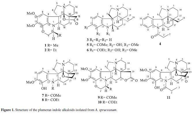 Indole alkaloid Spruceanumines A and B novel plumeran indole alkaloids from