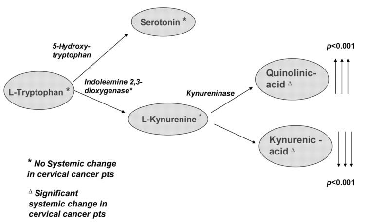 Indoleamine 2,3-dioxygenase Systemic Changes of Tryptophan Catabolites via the Indoleamine23