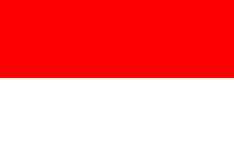 Indonesia at the 1982 Asian Games