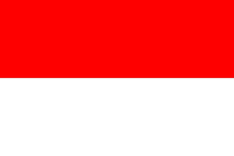 Indonesia at the 2013 World Aquatics Championships