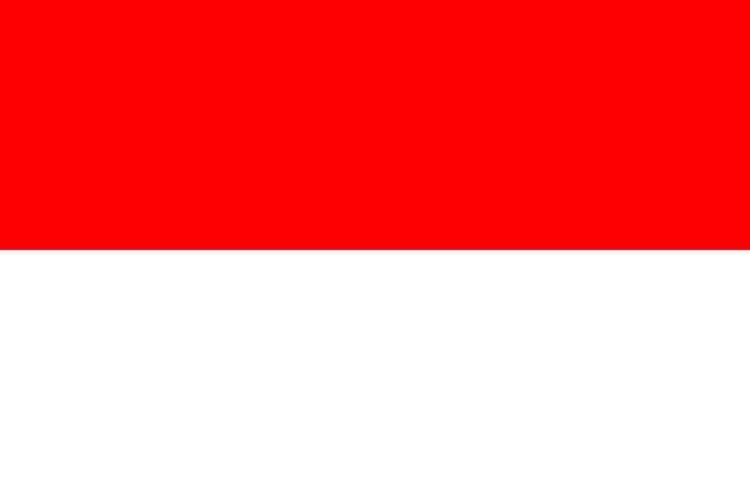 Indonesia Davis Cup team