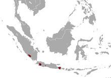 Indonesian mountain weasel httpsuploadwikimediaorgwikipediacommonsthu