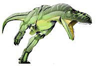 Indosaurus Indosaurus matleyi Dinosaur Asian Dinosaurs Planet Dinosaur