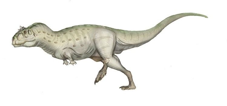 Indosaurus imagesdinosaurpicturesorgIndosaurusmaniraptora