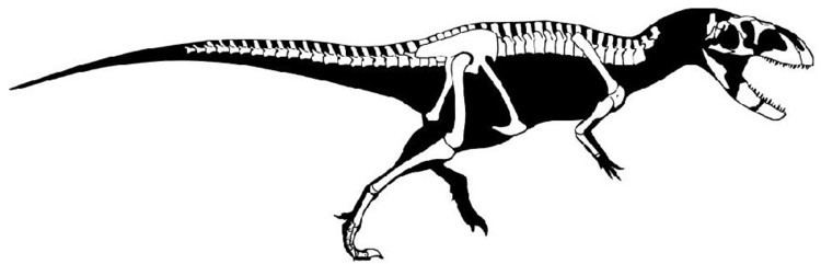 Indosuchus Indosuchus Pictures amp Facts The Dinosaur Database