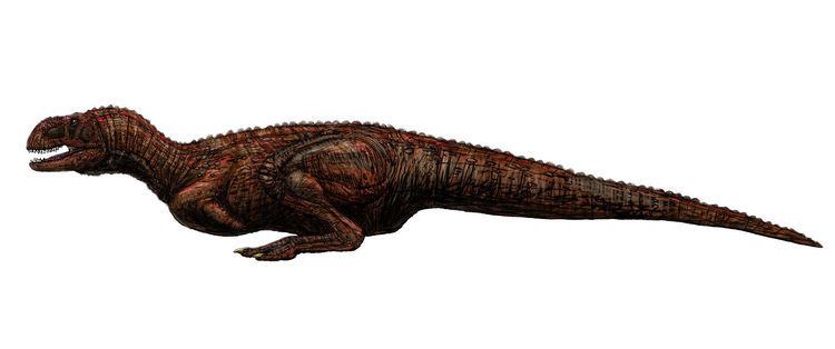Indosuchus Indosuchus Wikipedia