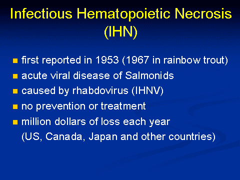 Infectious hematopoietic necrosis virus Infectious Hematopoietic Necrosis IHN