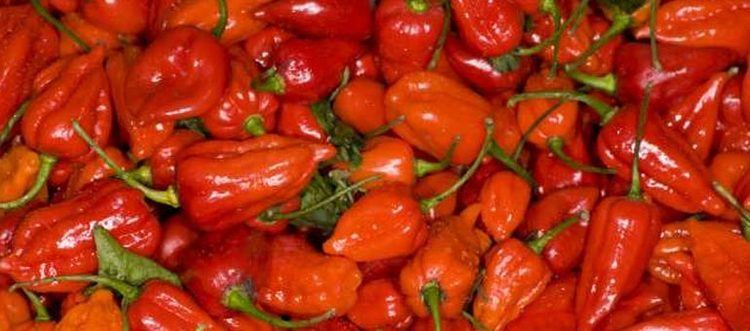 Infinity chili Infinity Chili Pepperheads For Life