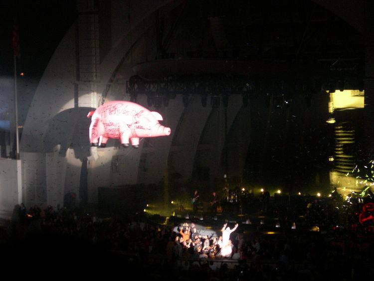 Inflatable pigs on Roger Waters' tours