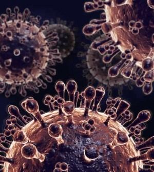 Influenza A virus subtype H5N2 wwwabbotsfordtodaycawpcontentuploads201412