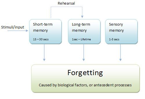 Information processing technology and aging