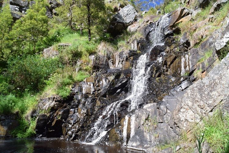 Ingalalla Waterfalls Ingalalla Waterfalls and Picnic Grounds Adelaide