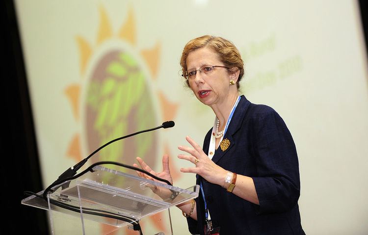 Inger Andersen (environmentalist)