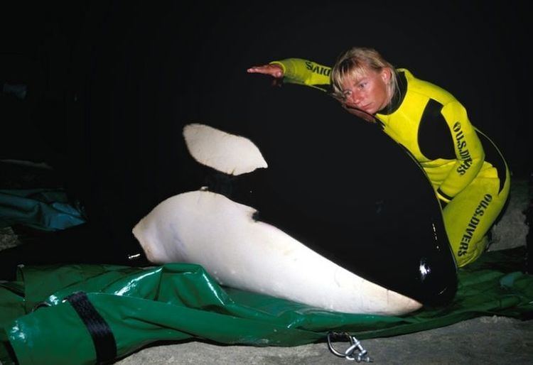 Ingrid Visser (biologist) Meet the Scientist Who Is Standing Up to SeaWorld to Save Orcas From