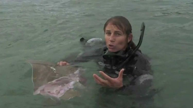 Ingrid Visser (biologist) Dr Ingrid N Visser amp the Orca Research Trust Swimming with Orca