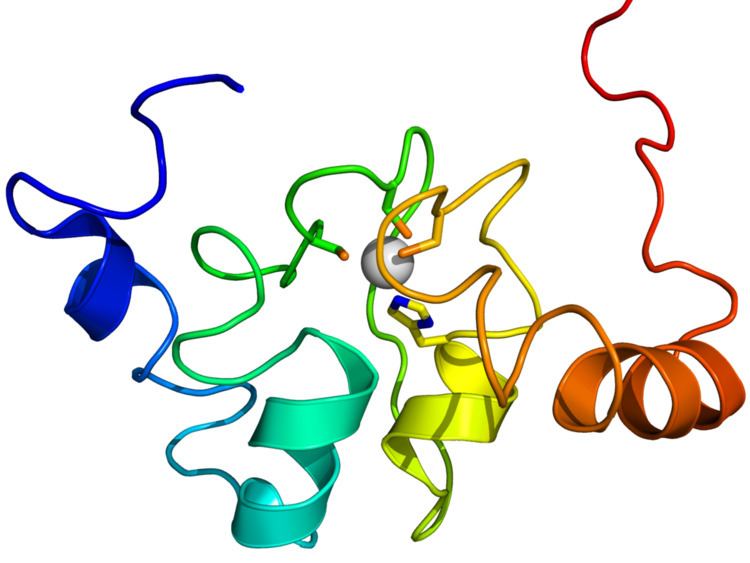 Inhibitor of apoptosis domain