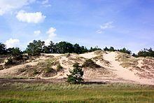 Inland dune httpsuploadwikimediaorgwikipediacommonsthu
