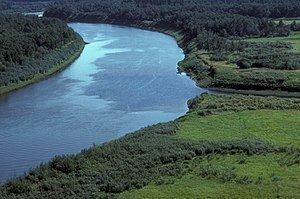 Innoko River httpsuploadwikimediaorgwikipediacommonsthu