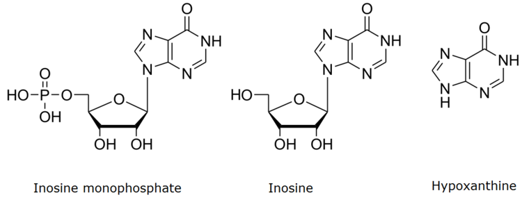 Inosine What are inosine nucleotides Knowledge Base by MicroSolv